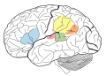 Language