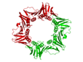 E. coli beta clamp 1MMI