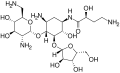 Structure of Butirosin A