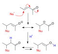 Nucleophilic conjugate addition