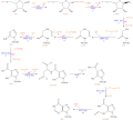 Nucleotide synthesis pathway