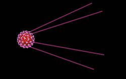 COVID-19 Sputnik V Vaccine Representation