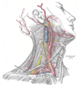 Submental artery