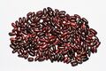 List of poisonous plants