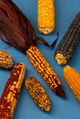 Chilean cuisine
