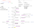 Diagram of sphingolipidoses