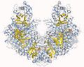 Fructose-bisphosphate_aldolase