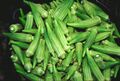 Bucket of raw okra pods