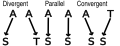 Convergent evolution