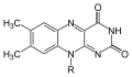 Flavin group