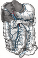 Gray's Anatomy illustration of the left colic vein