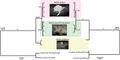 Phylogenetic analysis using 16S and 28S rRNA