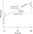 Additive and Dominance Effects