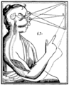 Descartes' mind and body