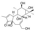 Phorbol chemical structure