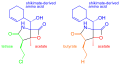 Salinosporamide A and B