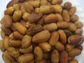 Dattes Bejjou