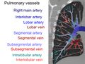 Pulmonary artery