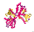 Crystal structure of myosin light-chain kinase