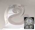 Parahippocampal gyrus