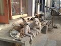 Prevalence of rabies