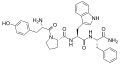 Endomorphin 1 structure