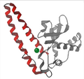 Superoxide dismutase