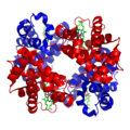 1GZX Haemoglobin