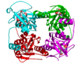 Thymidine kinase structure