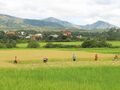 Ambositra
