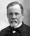 Portrait of Louis Pasteur, a pioneer in microbiology