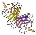 Superoxide dismutase