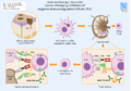 CTLA4 and PD1 Immunotherapy