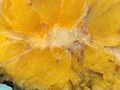 Invasive carcinoma of no special type