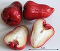 Close-up of the fruit