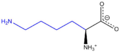 Lysine structure