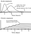 ΔFosB accumulation