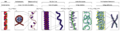 Nucleosome
