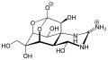 Tetrodotoxin structure