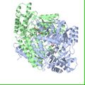 Structure of GAD67