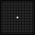 Amsler grid on black background