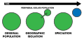 Allopatric speciation