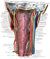 Illustration from Sobo 1909
