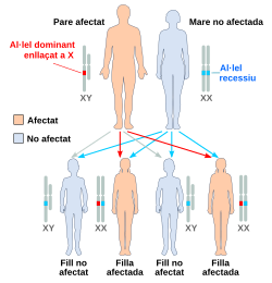 X dominant affected father