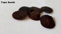 Yopo seeds containing bufotenin
