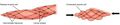 Smooth muscle contraction