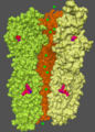 GABAA receptor structure