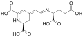 Vulgaxanthin II