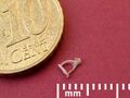 Stapes human ear