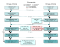 Conversion of Essential Fatty Acids to Eicosanoids